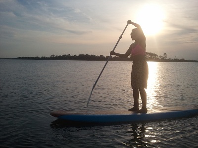paddle boarding with birds